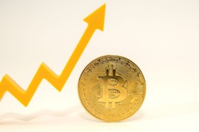 Bitcoin Zirve Mi Yapacak? Balinalar Bitcoin Kazandıran BTC Bull Token ile Solaxy Stokluyor!